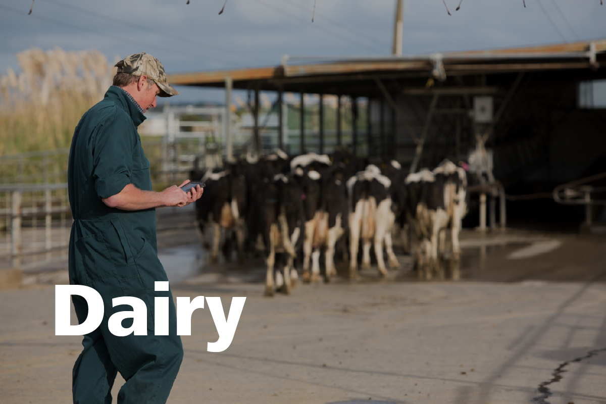 datamars-blog-species-dairy